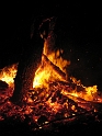 bild (10)